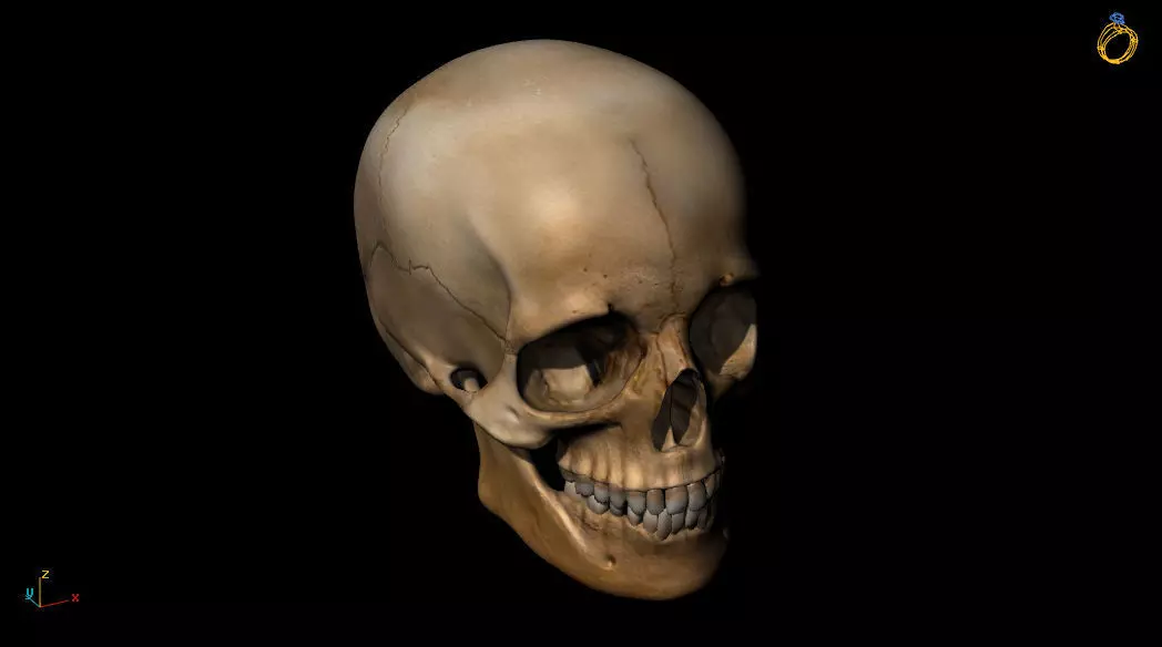 3D Skull print model glowing 3D print model