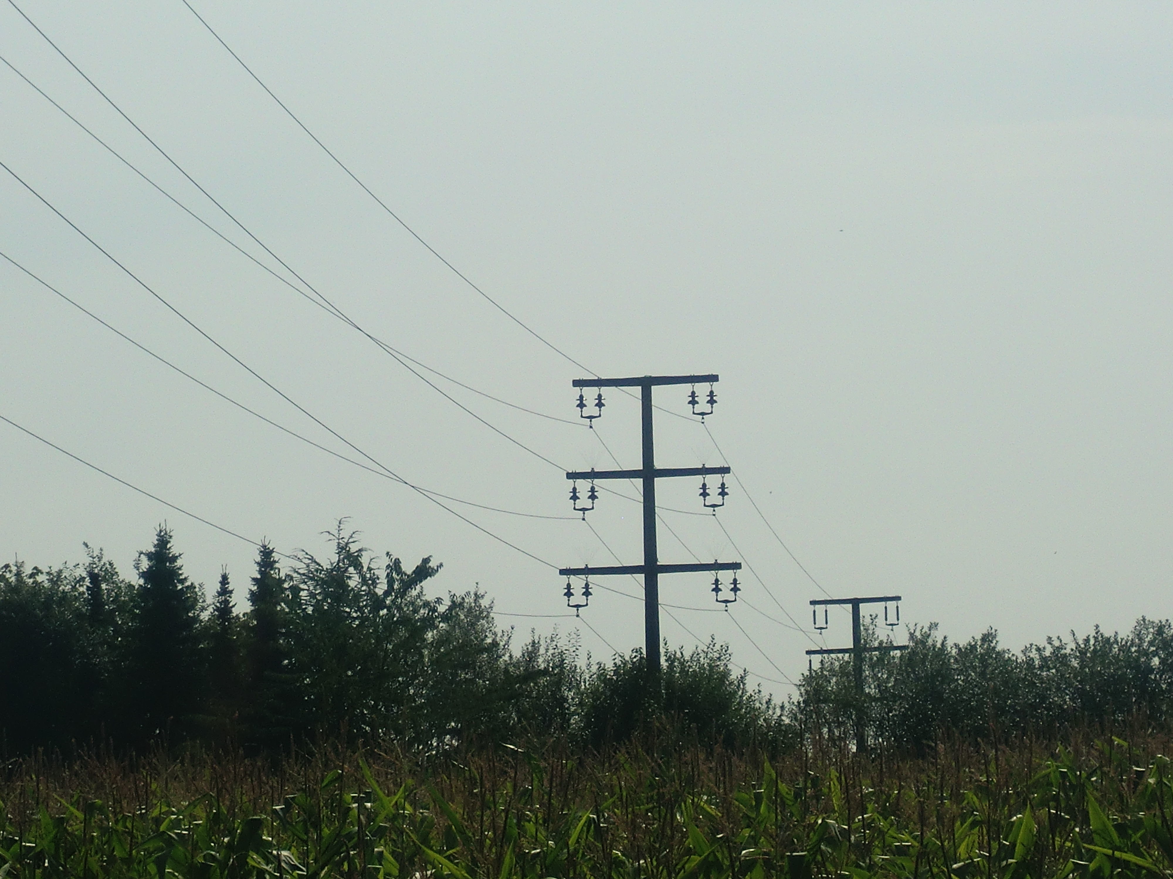 German Countryside Electricity Pylon Low-poly 3D model_6