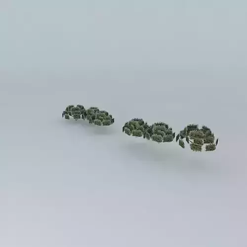 Arvres of av White River