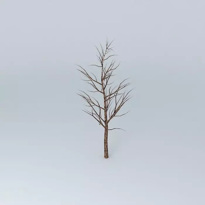 Small tree in front of the sanctuary Free 3D model