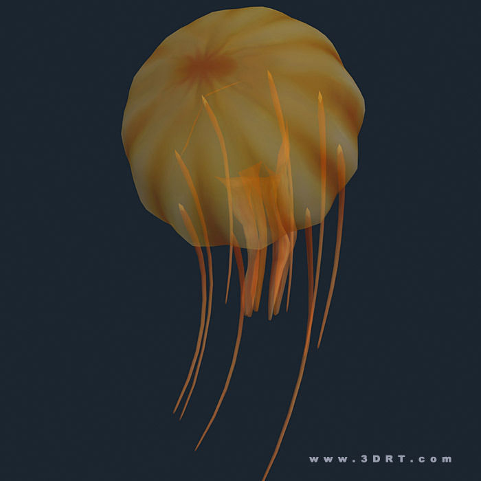 3DRT - Sealife - Jelly FIsh Low-poly 3D model_1