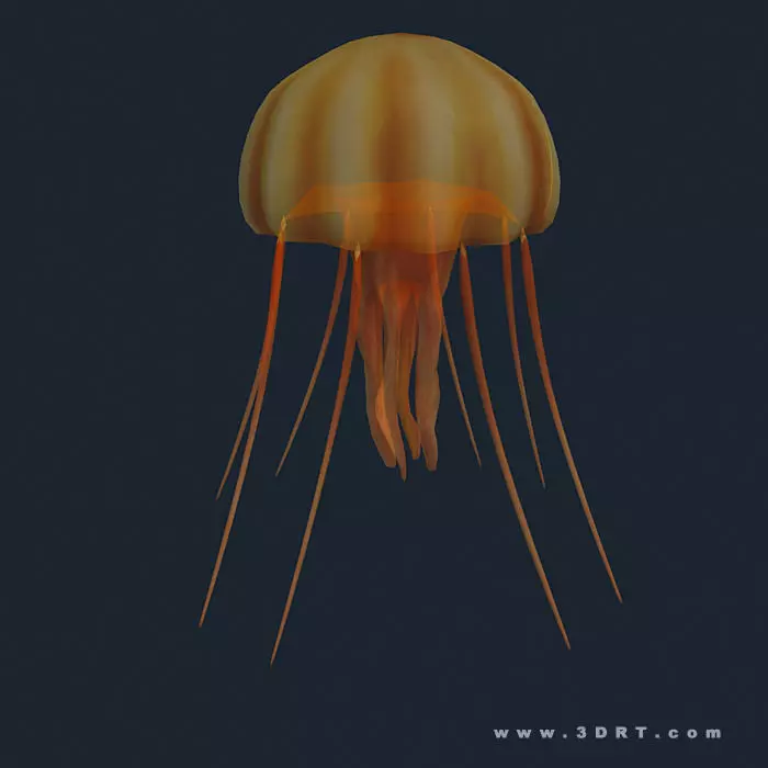 3DRT - Sealife - Jelly FIsh Low-poly 3D model_0