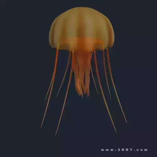3DRT - Sealife - Jelly FIsh Low-poly 3D model