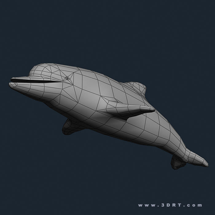 3DRT - Sealife - Dolphin Low-poly 3D model_2