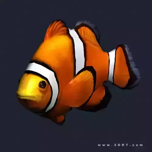 3DRT - Sealife - Clownfish Low-poly 3D model