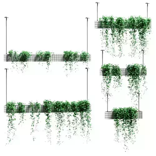 Plants in hanging flower pots - 5 models 3D model