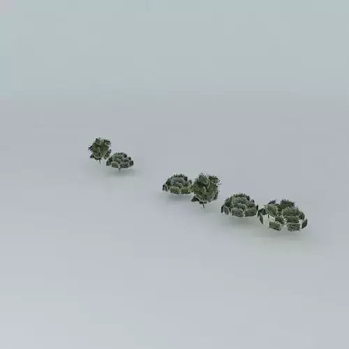 Trees river street January