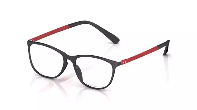 Eyeglasses for Men and Women 3D print model