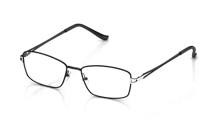 Eyeglasses for Men and Women 3D print model