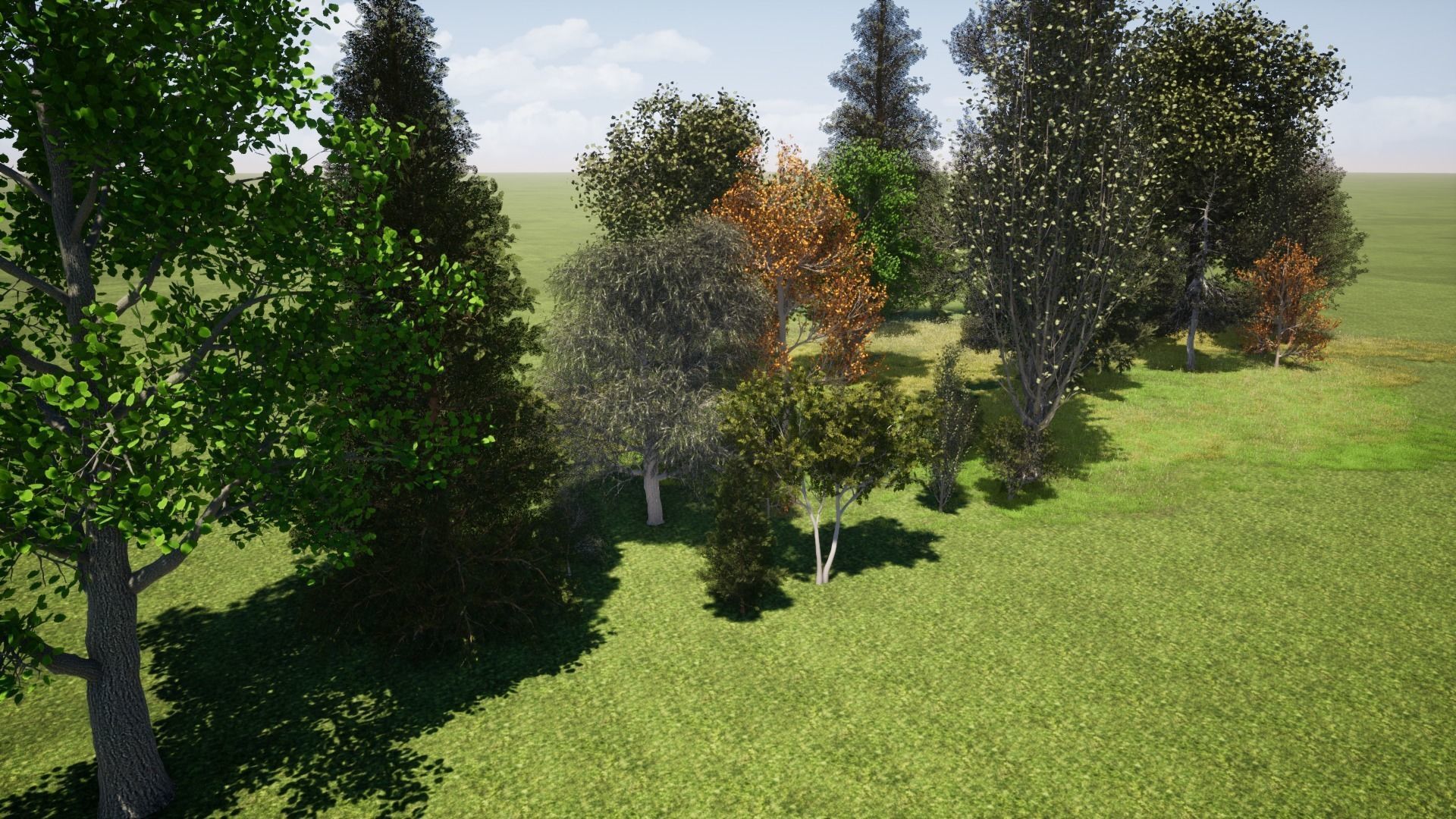 Very realistic 3d Trees collection for Twinmotion 2019 full pack Low-poly 3D model_1