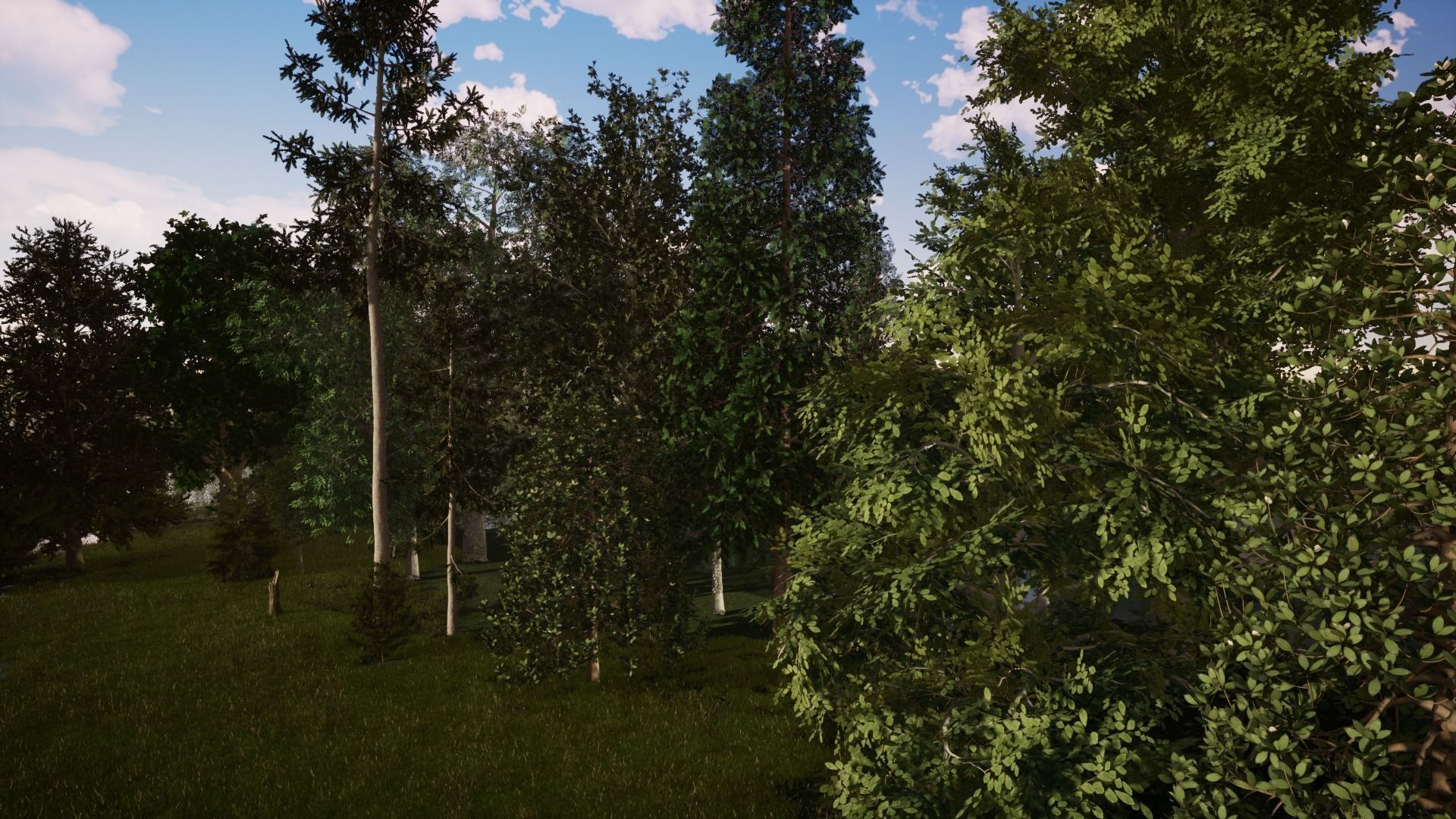 Very realistic 3d Trees collection for Twinmotion 2019 full pack Low-poly 3D model_3