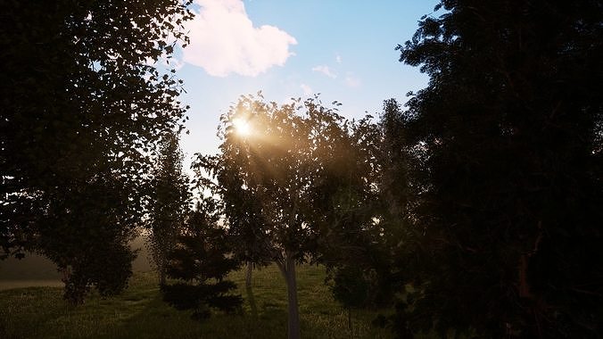 Very realistic 3d Trees collection for Twinmotion 2019 full pack Low-poly 3D model