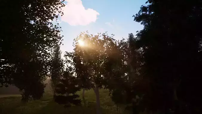 Very realistic 3d Trees collection for Twinmotion 2019 full pack Low-poly 3D model