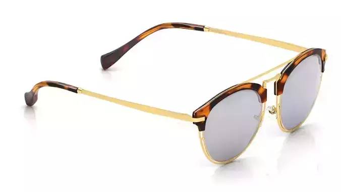 Eyeglasses for Men and Women 3D print model