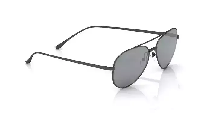 Eyeglasses for Men and Women 3D print model