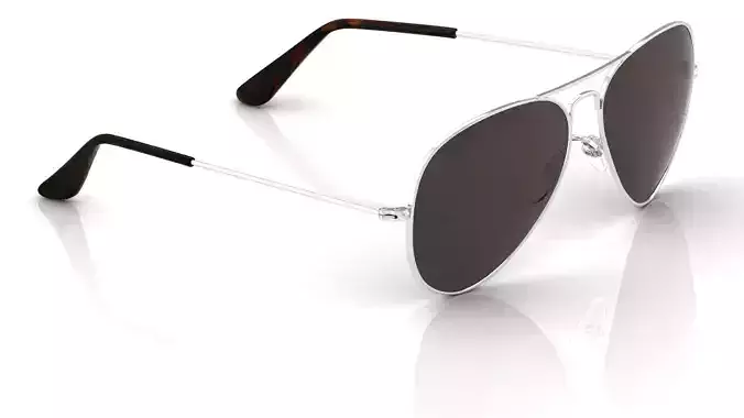 Eyeglasses for Men and Women 3D print model