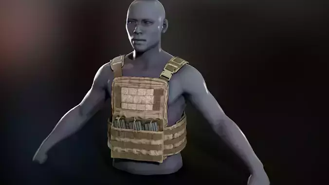 Crye Cage VEST Low-poly 3D model