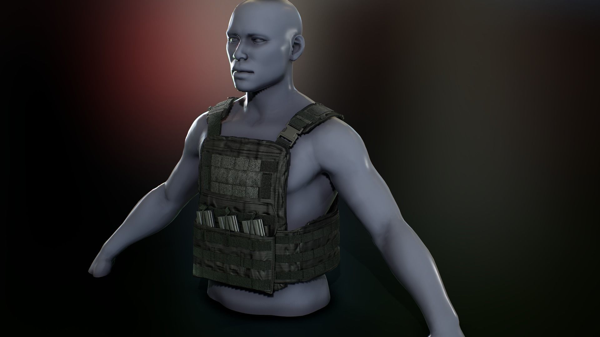 Crye Cage VEST Low-poly 3D model_6