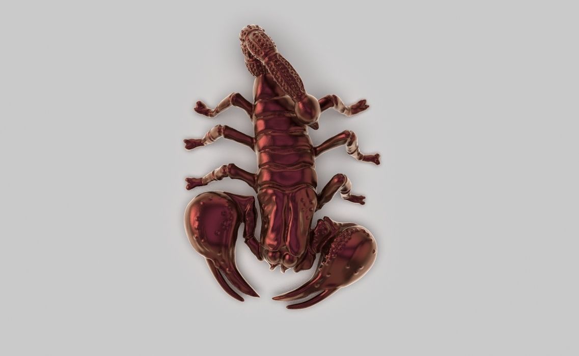 Scorpio 3D print model_4