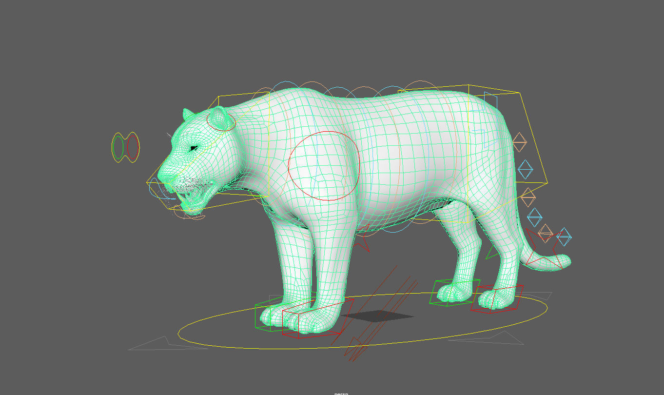 Tiger maya 3D model_7