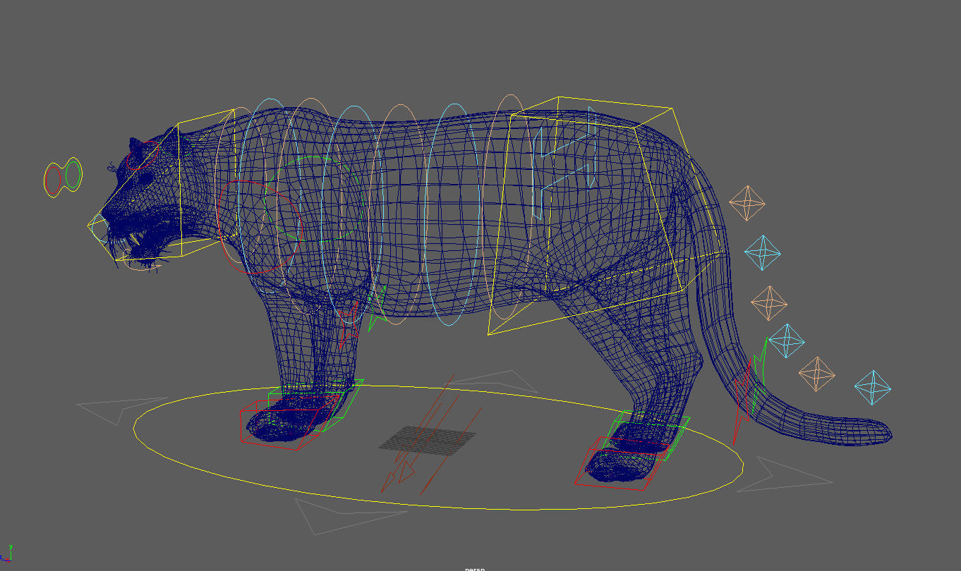 Tiger maya 3D model_6