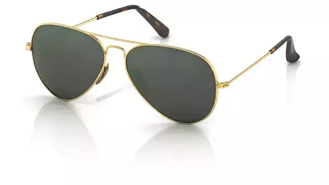Eyeglasses for Men and Women 3D print model