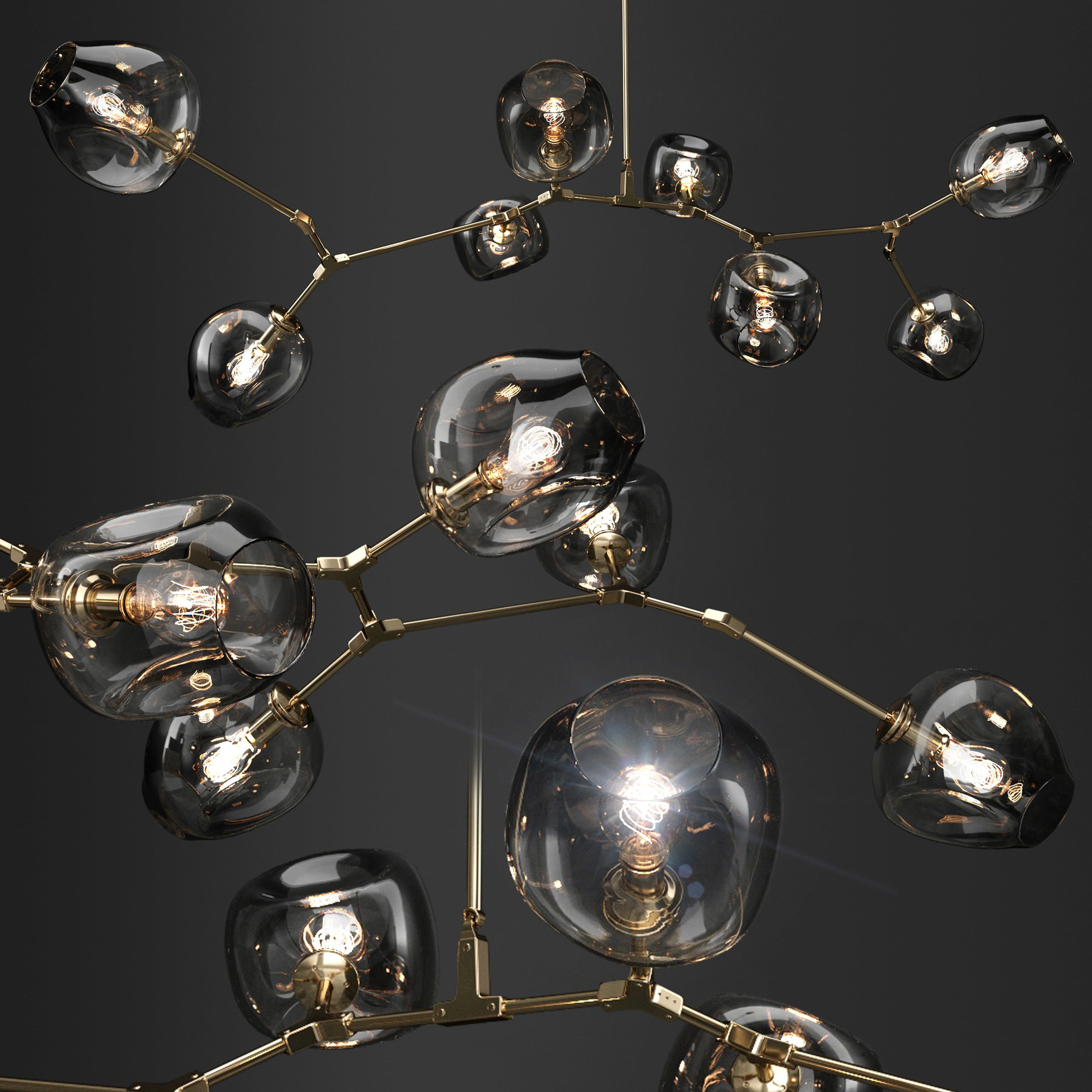 Branching bubble and Branching burst 3D model_3
