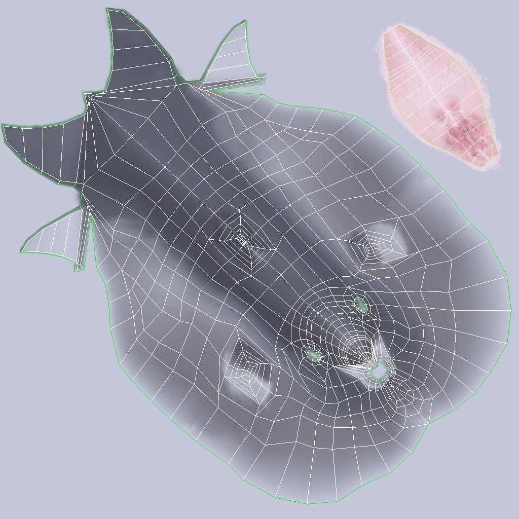 Dolphin 3D model_7