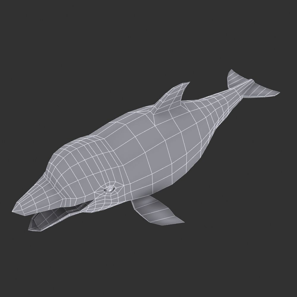 Dolphin 3D model_4