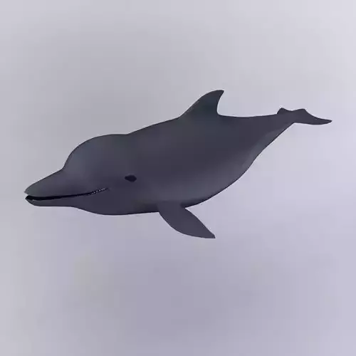 Dolphin