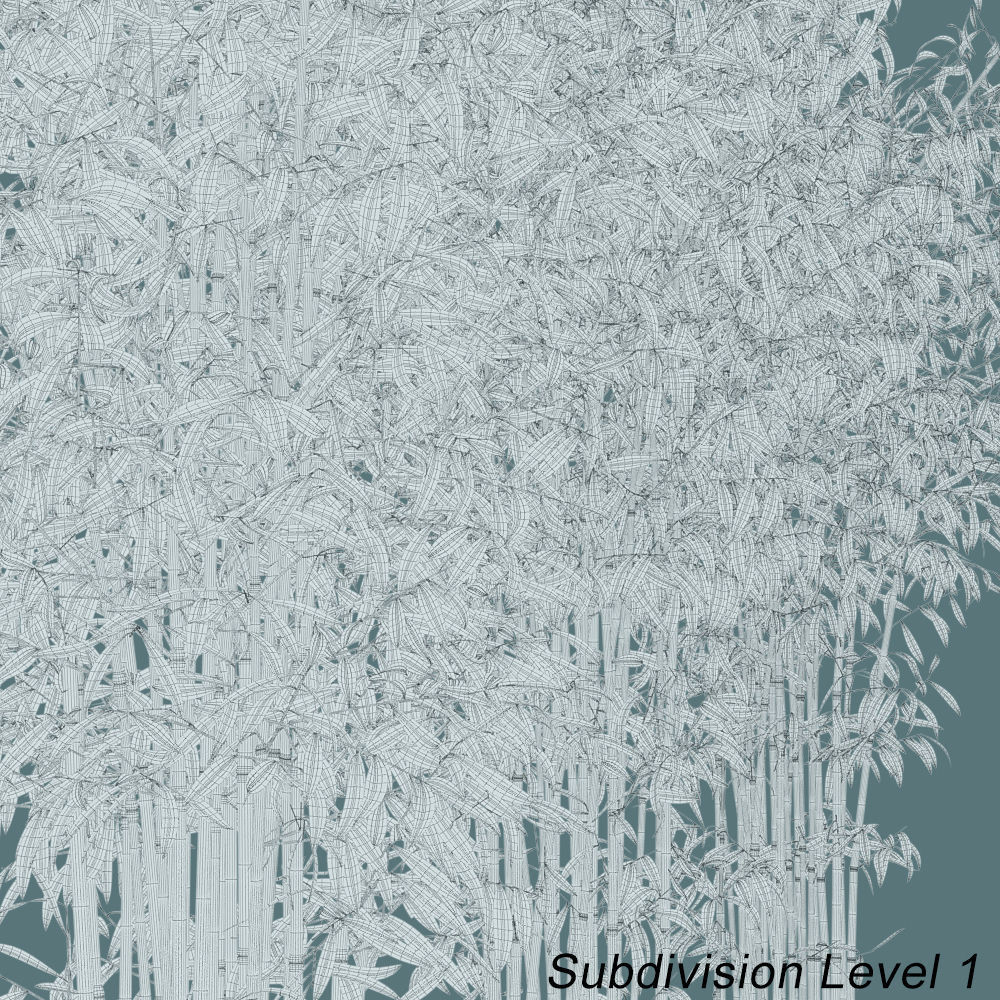 Bamboo Plants in Pots 3D model_10