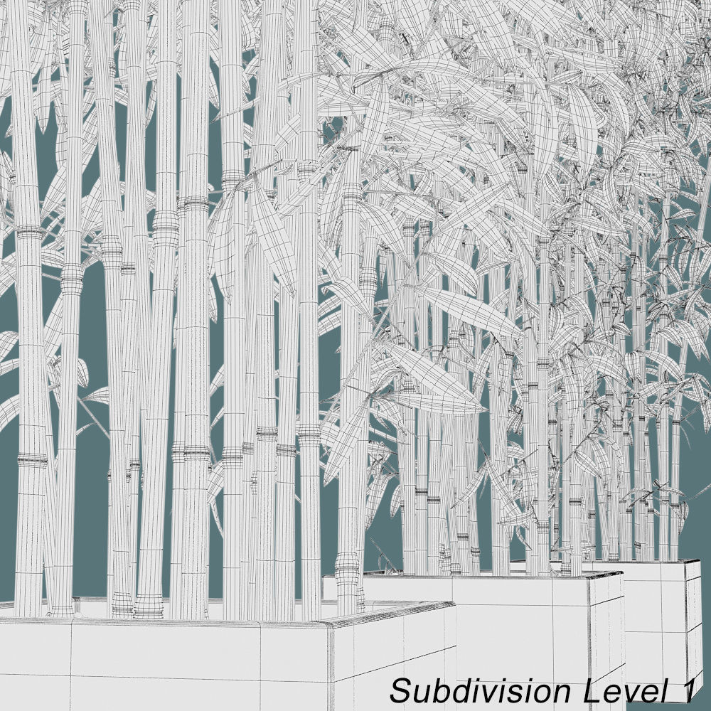 Bamboo Plants in Pots 3D model_9
