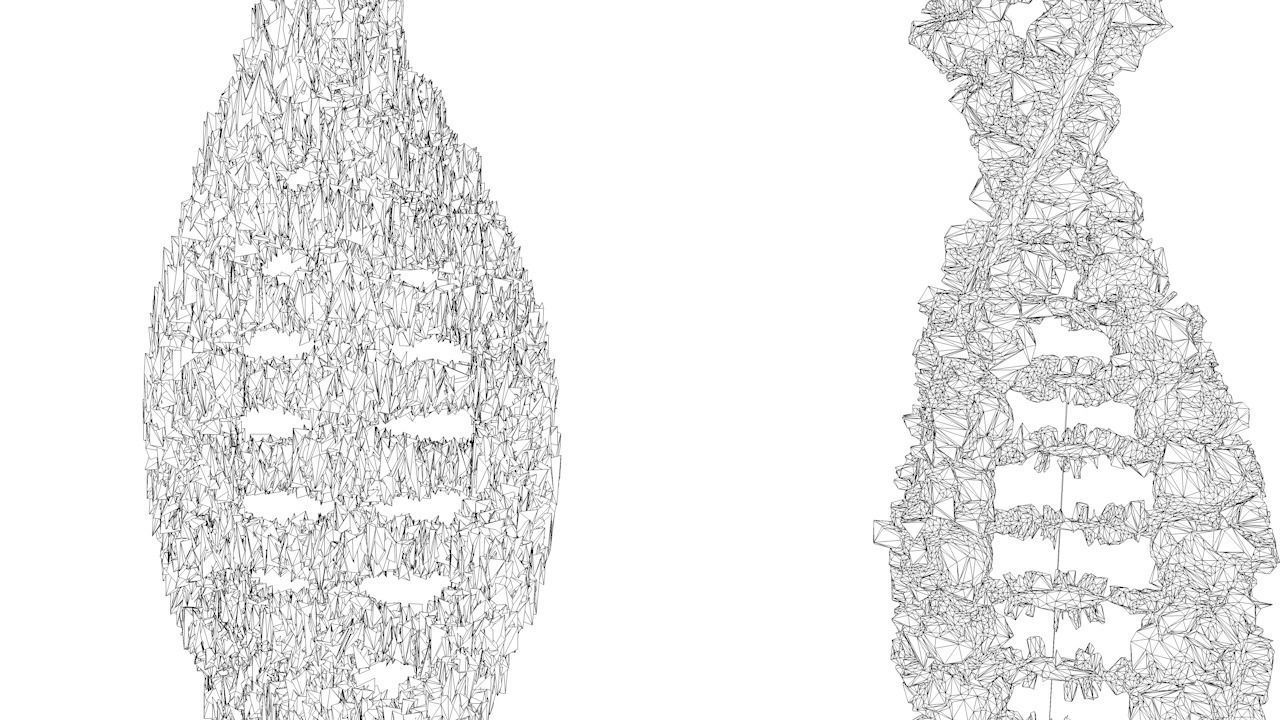 DNA Structure  3D model_8