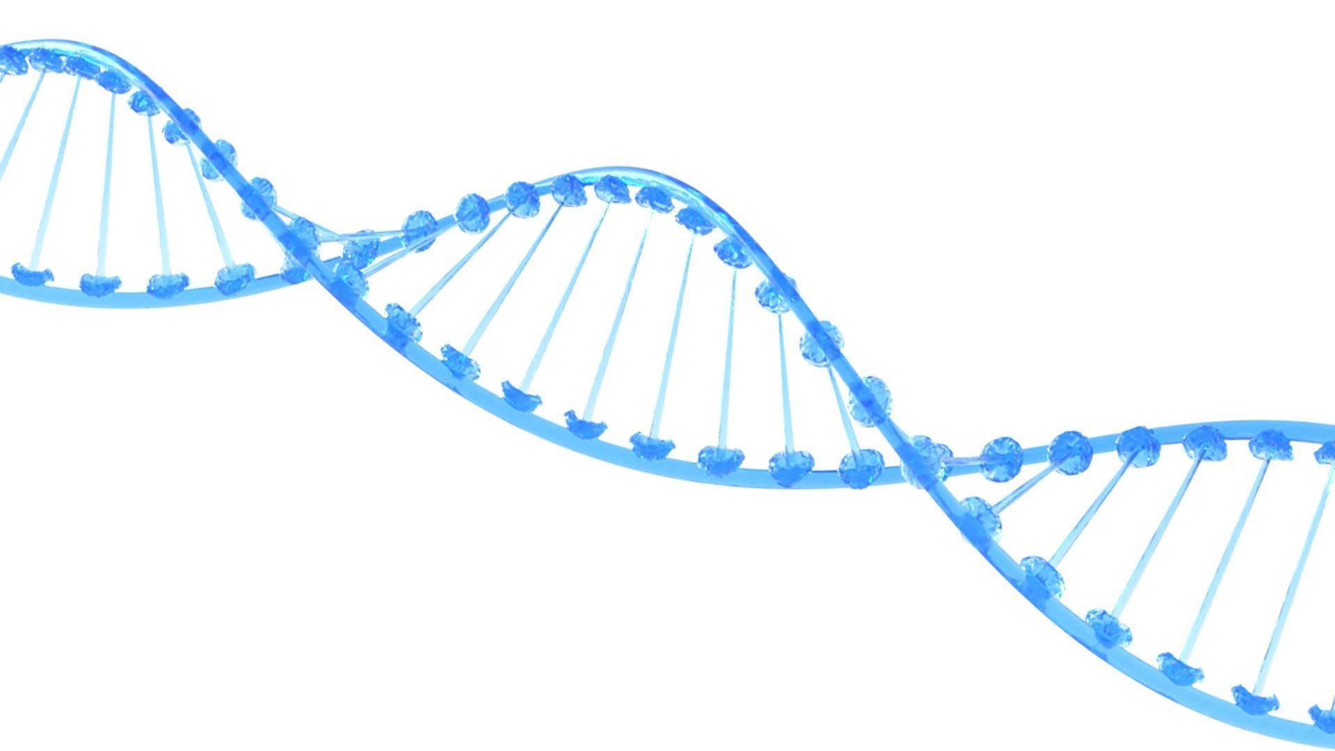 DNA Structure  3D model_1