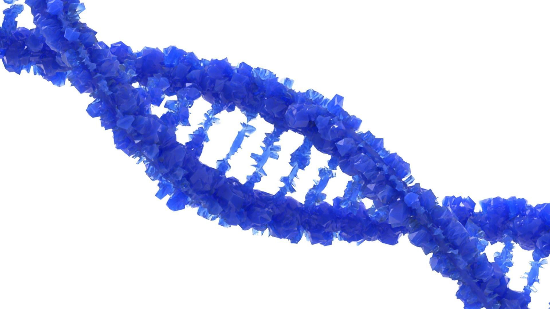 DNA Structure  3D model_5