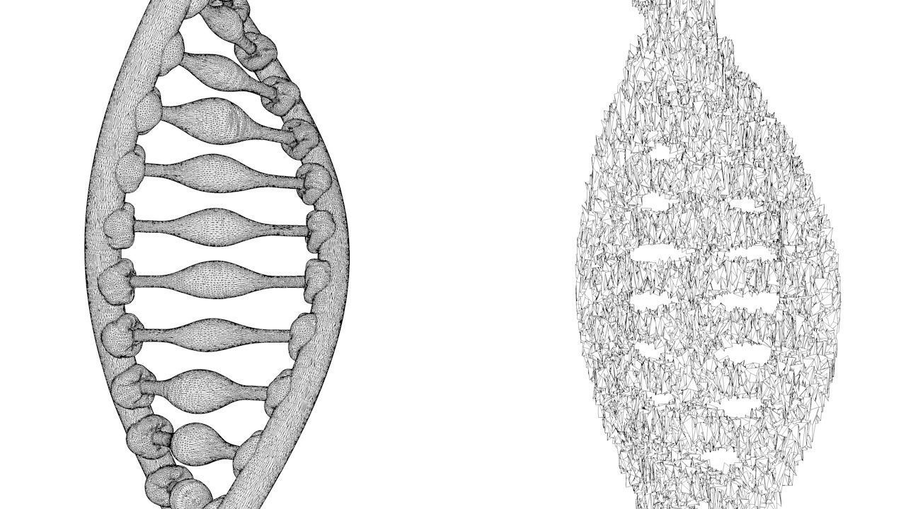 DNA Structure  3D model_6