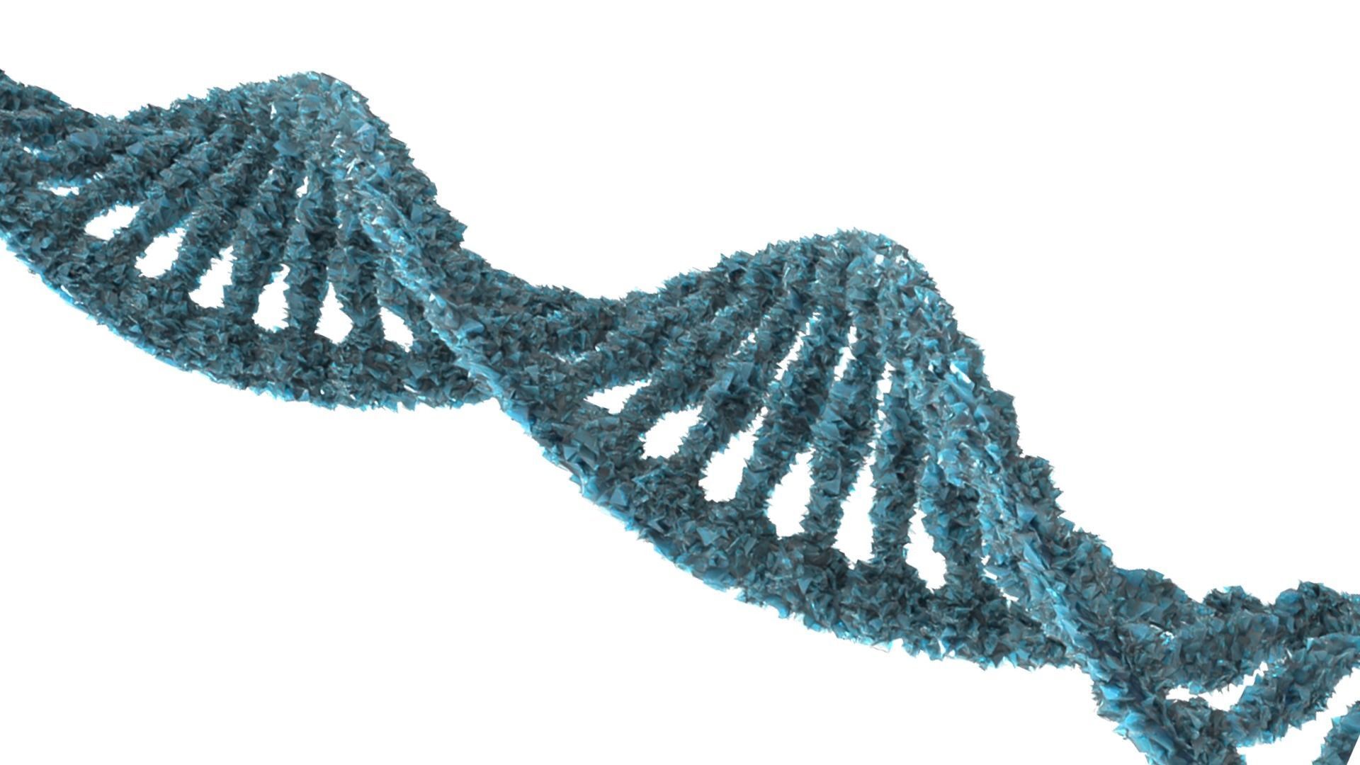 DNA Structure  3D model_4
