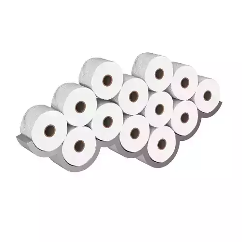 Toilet paper rolls