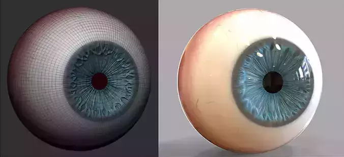 EYEBALL MODEL sphere Low-poly 3D model