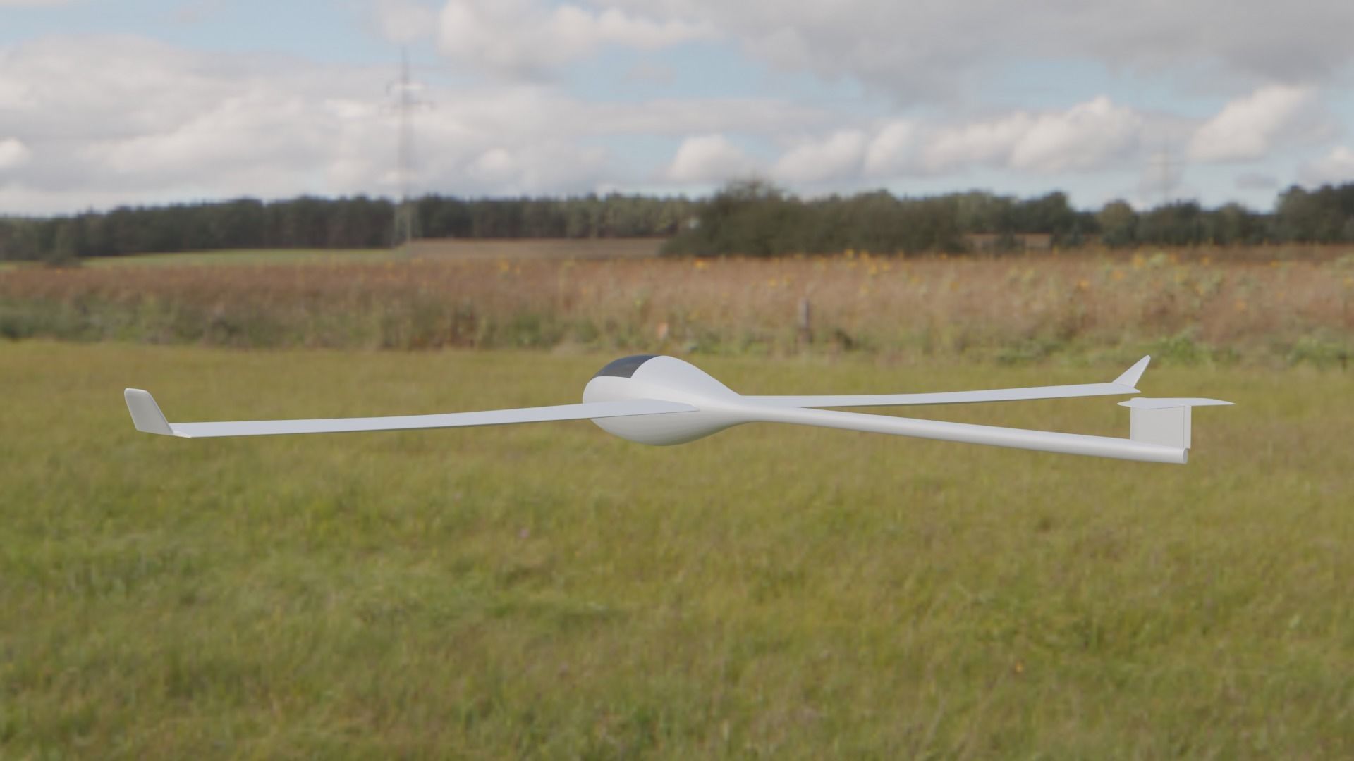 Plane Glider RC Toy  Low-poly 3D model_4