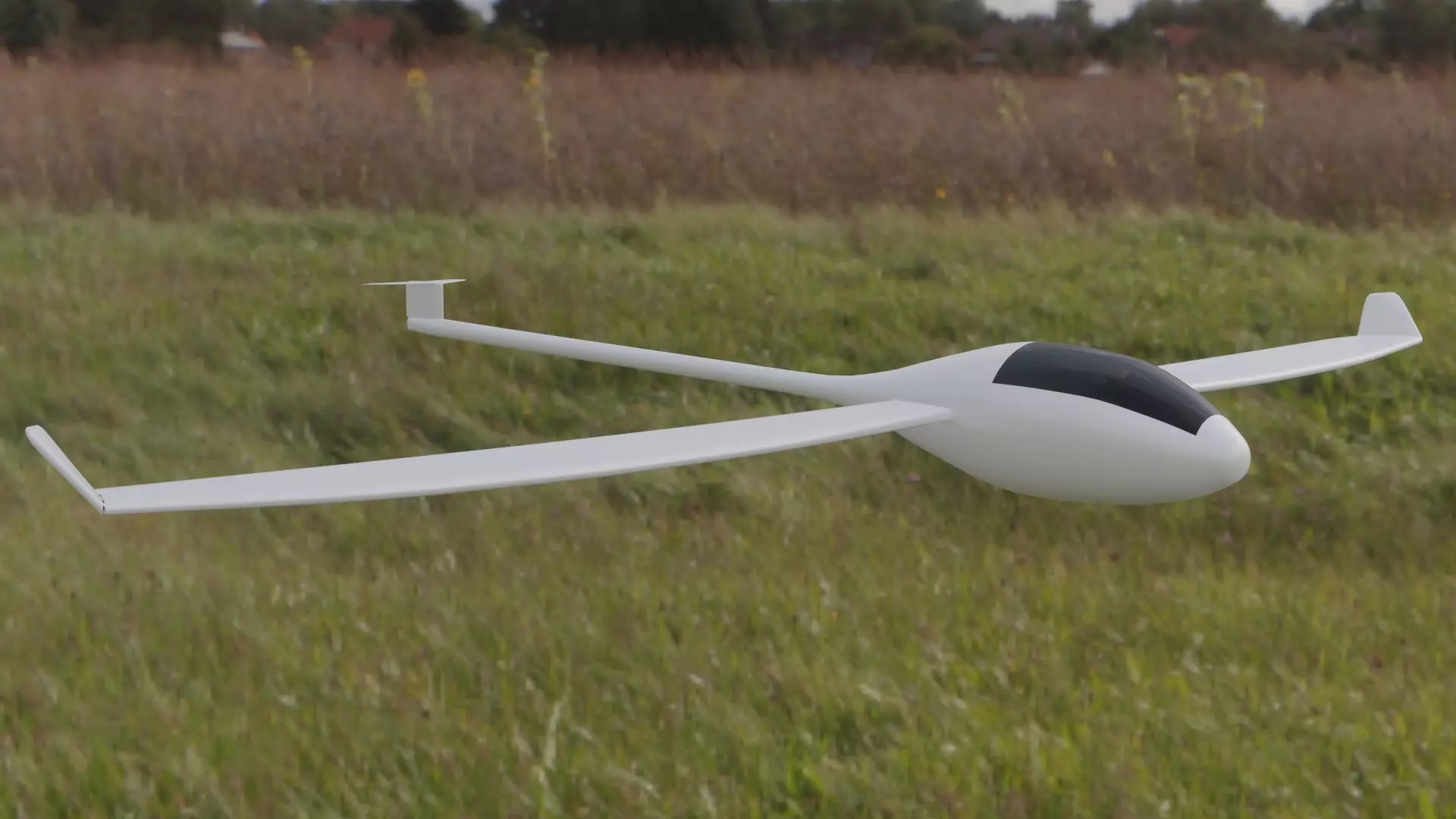 Plane Glider RC Toy  Low-poly 3D model_0