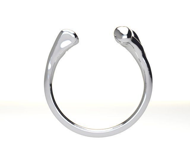 Printable 3d model Bone Ring 3D print model_6