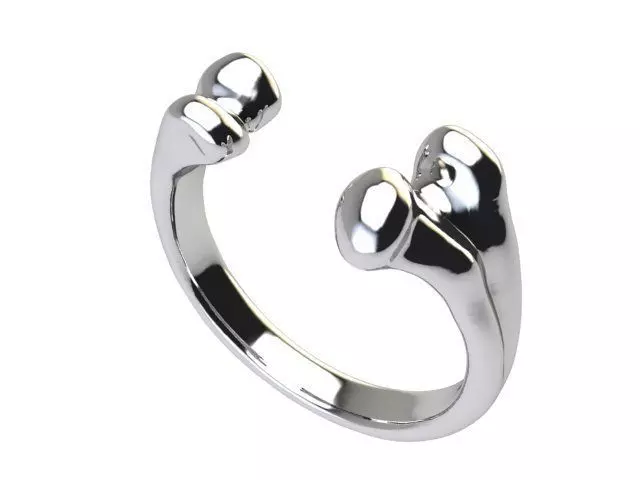 Printable 3d model Bone Ring 3D print model_0