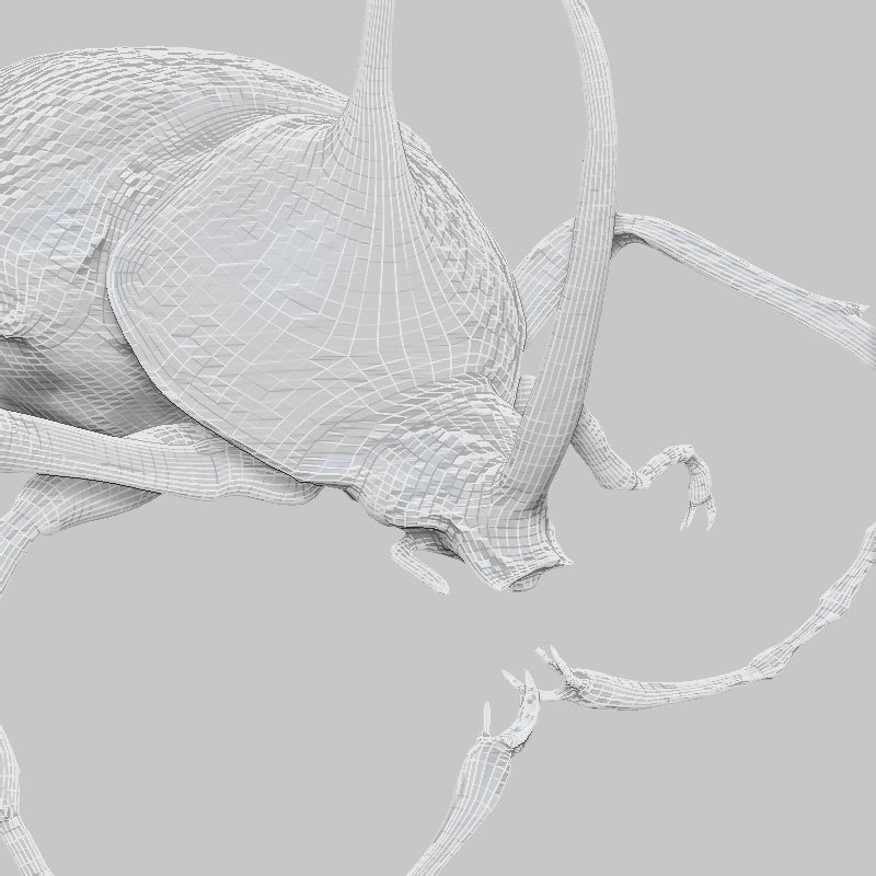 Meikever orange beetle with long legs Low-poly 3D model_6