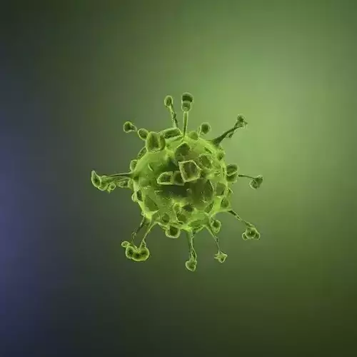 Realistic Coronavirus virus Low-poly 3D model