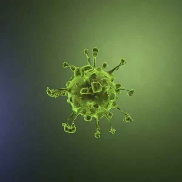 Realistic Coronavirus virus Low-poly 3D model