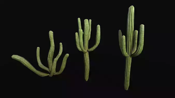 Stylized cactus large low poly 