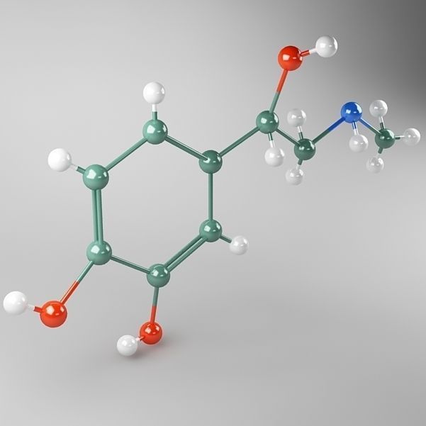 Molecule Adrenaline 3D model_1