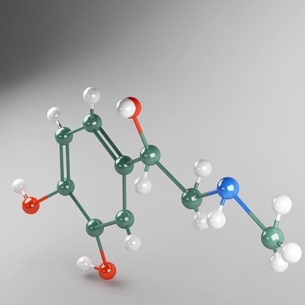 Molecule Adrenaline 3D model_6