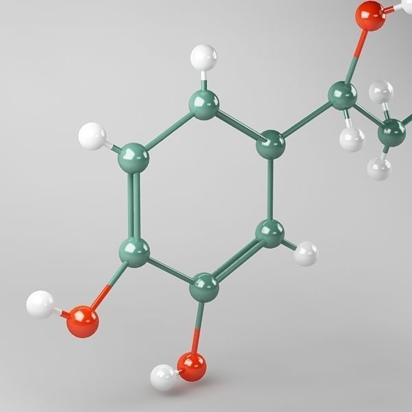 Molecule Adrenaline 3D model_5